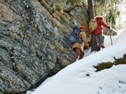 A Hinsdale lawyer named Emily Armstrong