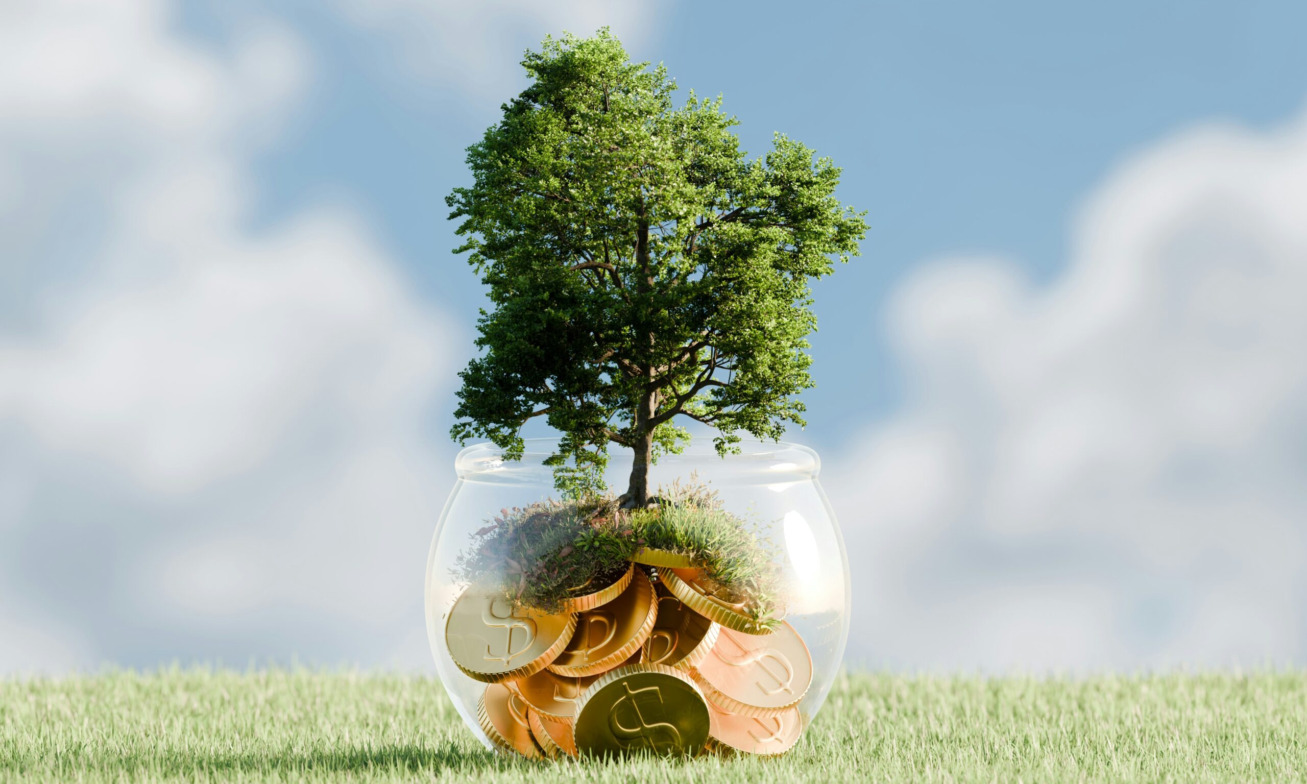 Emily Armstrong - Real Estate Investment