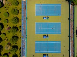 Emily Armstrong Lawyer